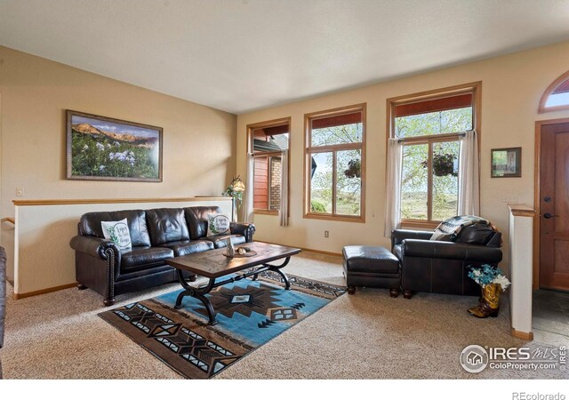 6319 Sedona Hills Dr, Berthoud, CO 80513 - photo 13