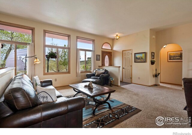6319 Sedona Hills Dr, Berthoud, CO 80513 - photo 14
