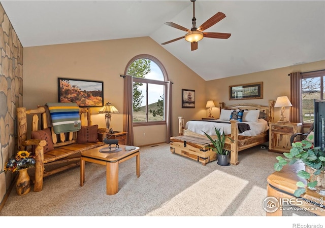 6319 Sedona Hills Dr, Berthoud, CO 80513 - photo 20