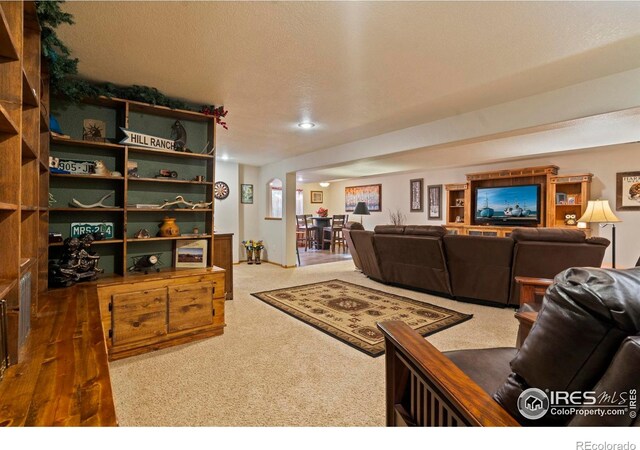 6319 Sedona Hills Dr, Berthoud, CO 80513 - photo 28