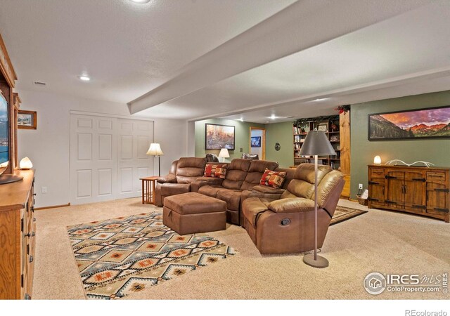 6319 Sedona Hills Dr, Berthoud, CO 80513 - photo 31