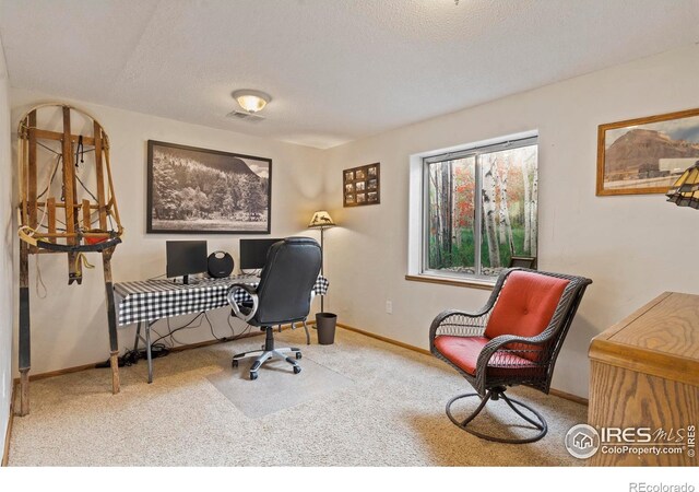 6319 Sedona Hills Dr, Berthoud, CO 80513 - photo 32