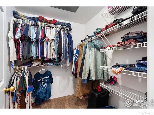 walk in closet with carpet flooring