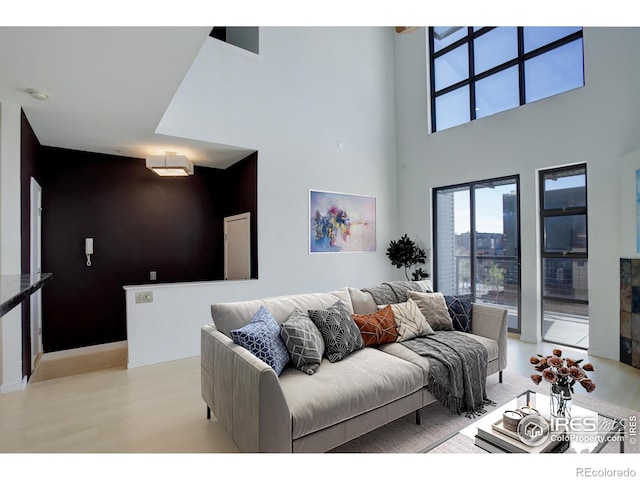 living area with light wood-style flooring, a towering ceiling, and a wealth of natural light