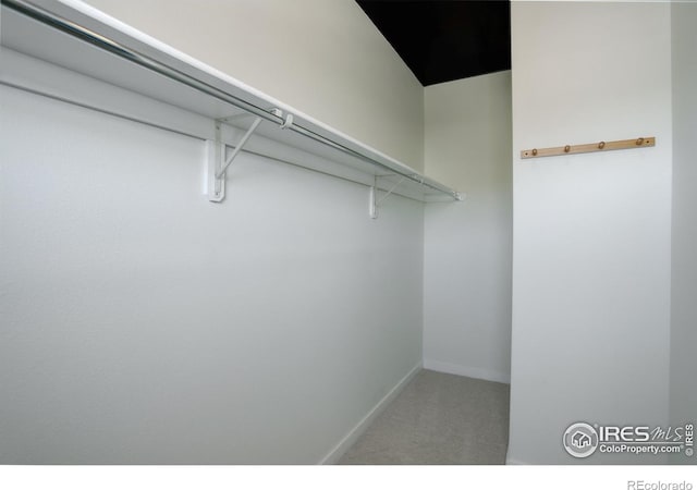 1200 Yarmouth Ave Unit 238, Boulder, CO 80304 - walk in closet featuring carpet