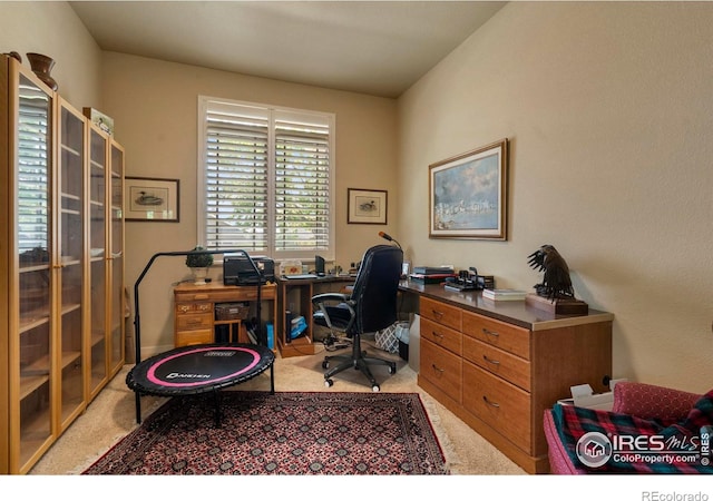 6836 Spanish Bay Dr, Windsor, CO 80550 - view of carpeted office