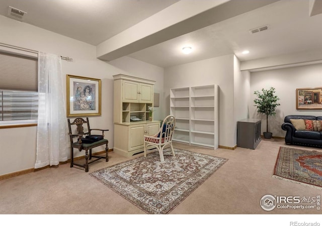 6836 Spanish Bay Dr, Windsor, CO 80550 - interior space with baseboards, visible vents, and light carpet