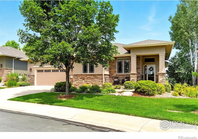 6836 Spanish Bay Dr, Windsor, CO 80550 - photo 3