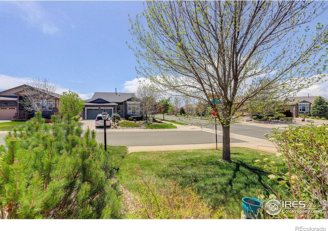 view of yard featuring concrete driveway and a garage
