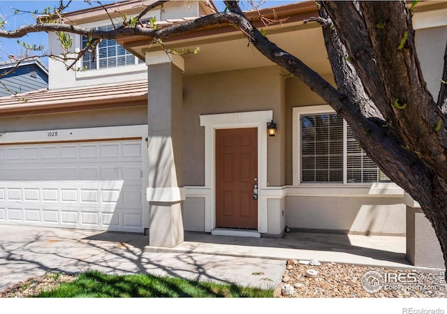 doorway to property with concrete driveway, stucco siding, and an attached garage