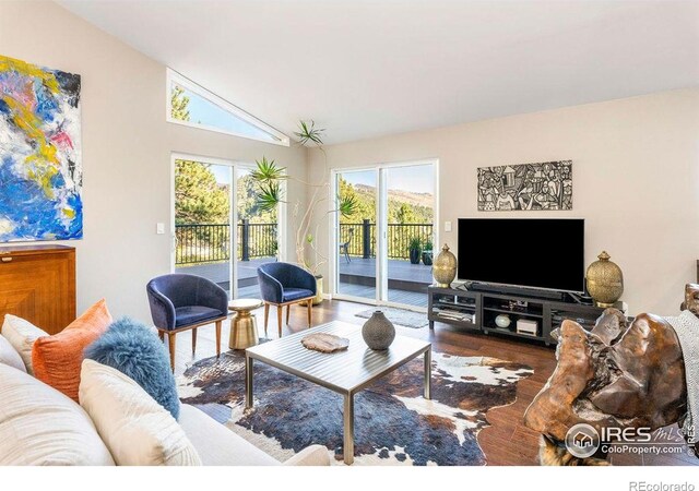 living room featuring wood finished floors and lofted ceiling