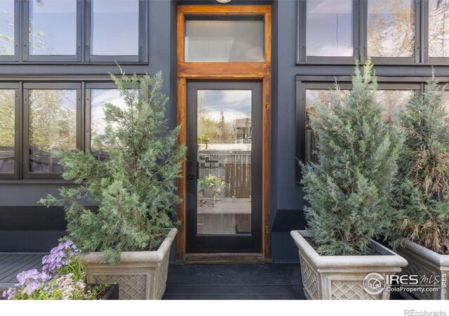 view of doorway to property