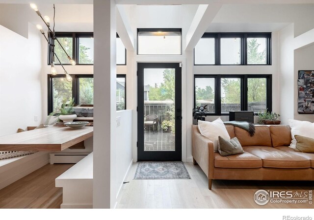 doorway featuring light wood-style floors, a baseboard radiator, a towering ceiling, and a healthy amount of sunlight