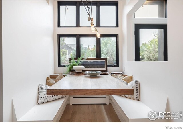 dining area with a baseboard heating unit and wood finished floors