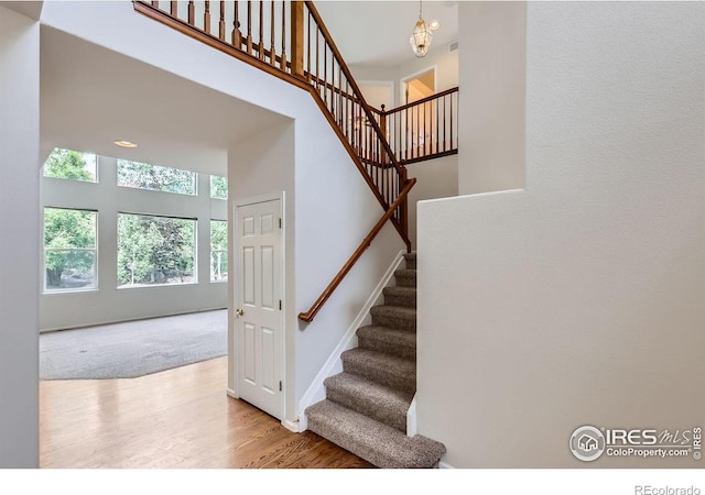 910 Pope Dr, Erie, CO 80516 - photo 22