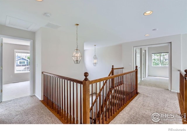 910 Pope Dr, Erie, CO 80516 - photo 23
