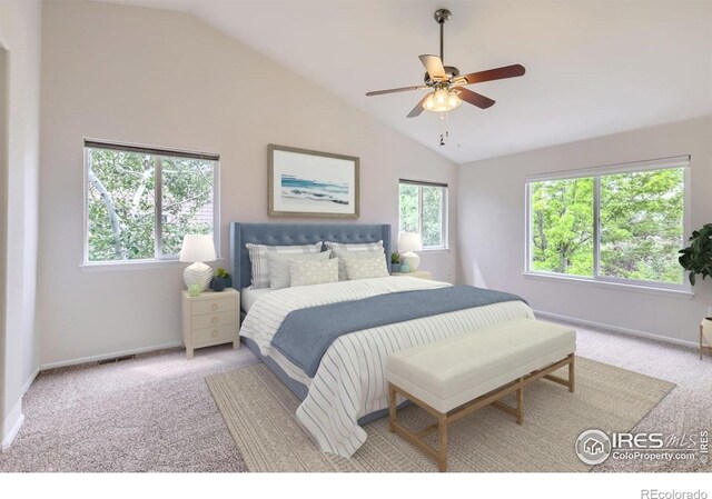 910 Pope Dr, Erie, CO 80516 - photo 24