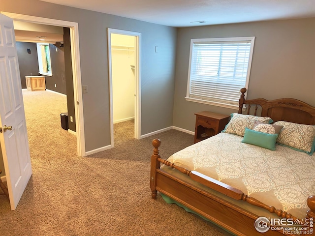 carpeted bedroom featuring baseboards, multiple windows, and a spacious closet