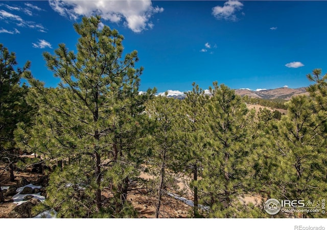 mountain view with a view of trees