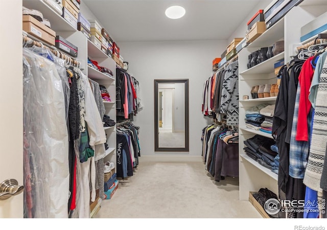 spacious closet with carpet flooring