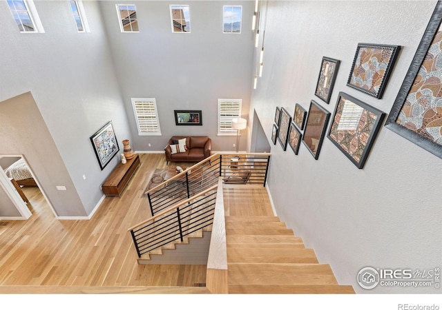 955 Horizon Ct, Erie, CO 80516 - photo 3