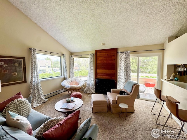 interior space featuring carpet flooring, a textured ceiling, plenty of natural light, and baseboard heating