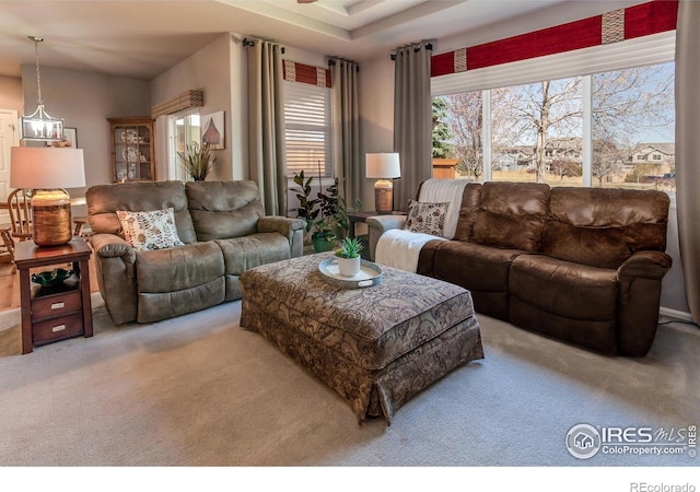 living room featuring carpet flooring