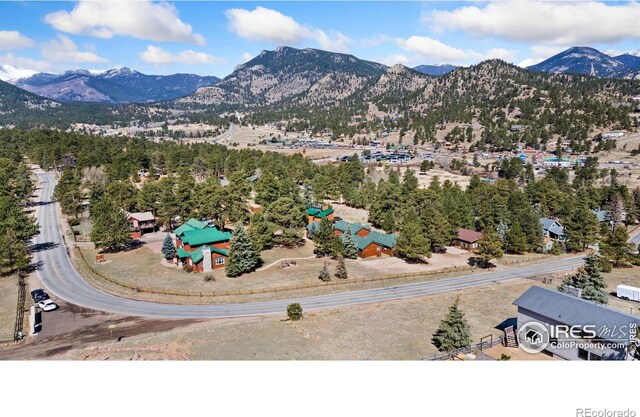 871 Riverside Dr, Estes Park, CO 80517 - photo 39