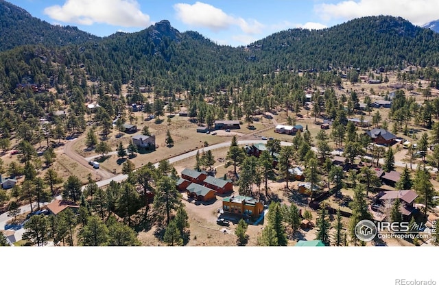 871 Riverside Dr, Estes Park, CO 80517 - photo 40