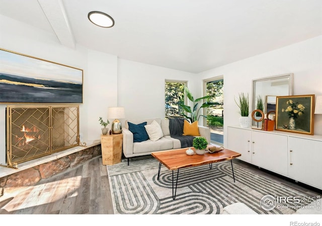 living area with a lit fireplace and wood finished floors