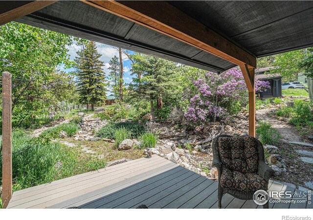 504 Rustic Rd, Bellvue, CO 80512 - photo 27