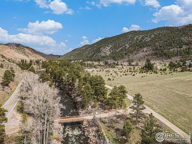 504 Rustic Rd, Bellvue, CO 80512 - photo 35