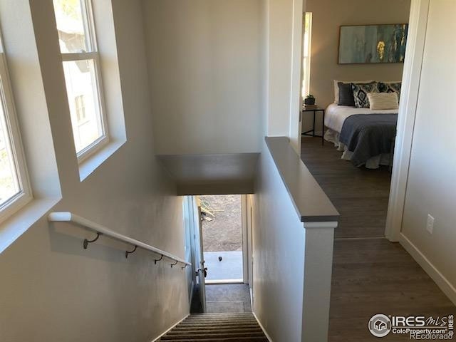 stairway with plenty of natural light and wood finished floors