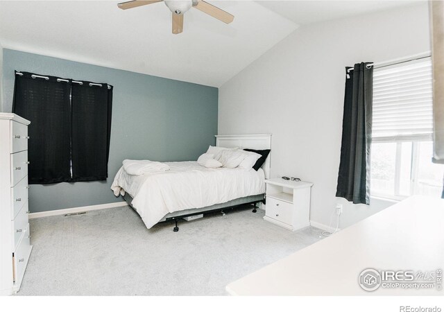 823 S Carriage Dr, Milliken, CO 80543 - photo 12