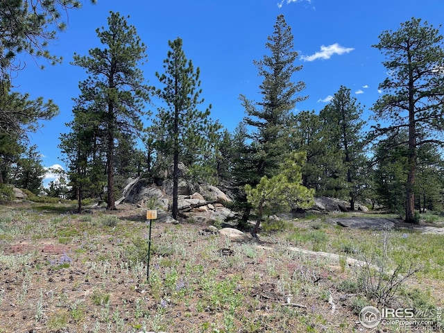 3020 Lake Arapahoe Ct, Red Feather Lakes, CO 80545 - photo 1