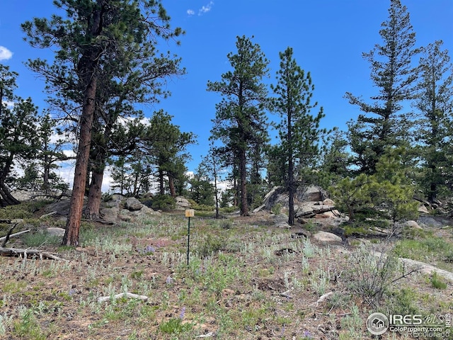 3020 Lake Arapahoe Ct, Red Feather Lakes, CO 80545 - photo 25
