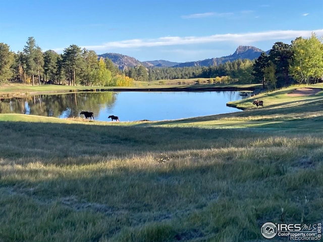 3020 Lake Arapahoe Ct, Red Feather Lakes, CO 80545 - photo 2
