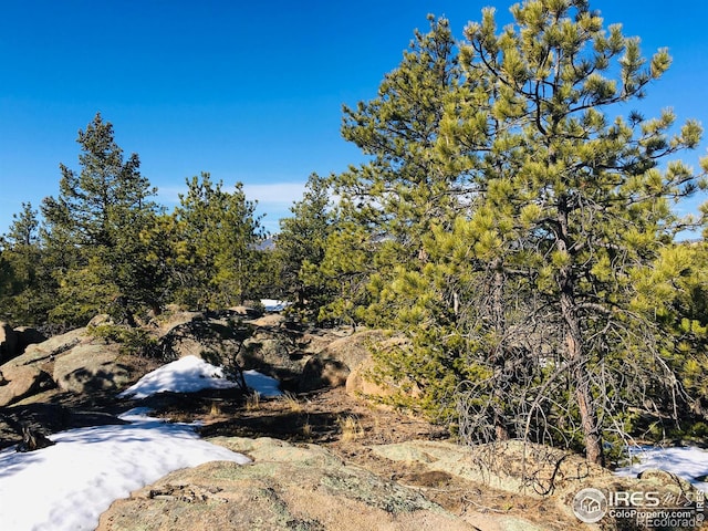 3020 Lake Arapahoe Ct, Red Feather Lakes, CO 80545 - photo 4