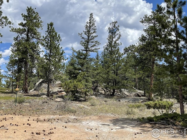 3020 Lake Arapahoe Ct, Red Feather Lakes, CO 80545 - photo 6