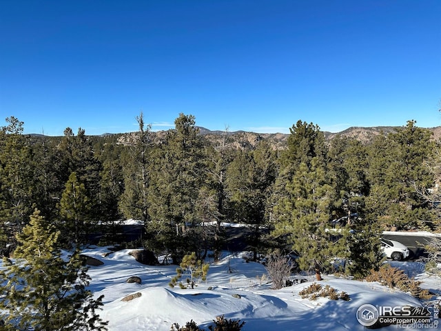 3020 Lake Arapahoe Ct, Red Feather Lakes, CO 80545 - photo 8