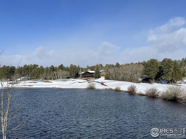 3020 Lake Arapahoe Ct, Red Feather Lakes, CO 80545 - photo 12