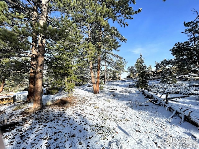 3020 Lake Arapahoe Ct, Red Feather Lakes, CO 80545 - photo 14