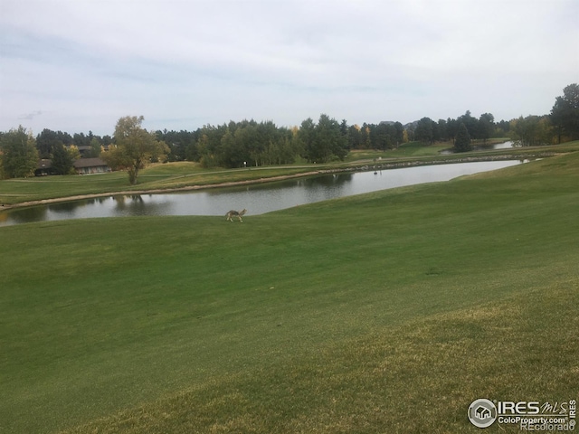 3020 Lake Arapahoe Ct, Red Feather Lakes, CO 80545 - photo 16