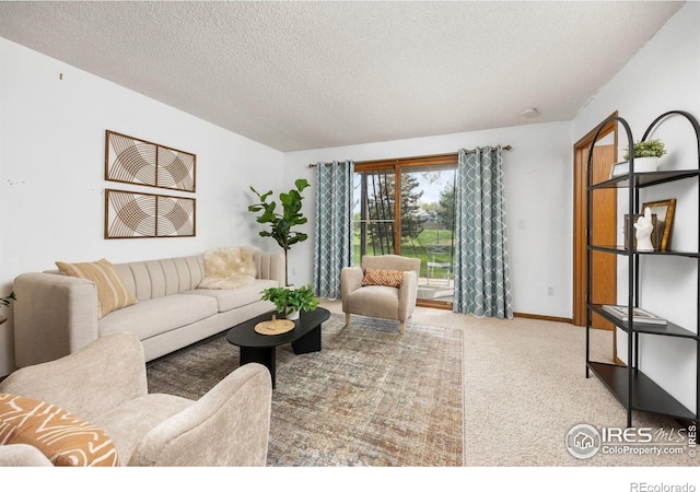 1231 W Swallow Rd Unit 314, Fort Collins, CO 80526 - carpeted living area featuring baseboards and a textured ceiling