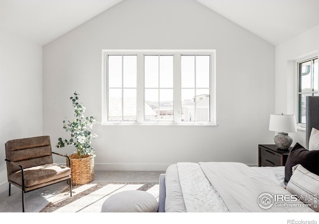 914 Eldorado Ln, Louisville, CO 80027 - bedroom featuring baseboards, carpet, and lofted ceiling