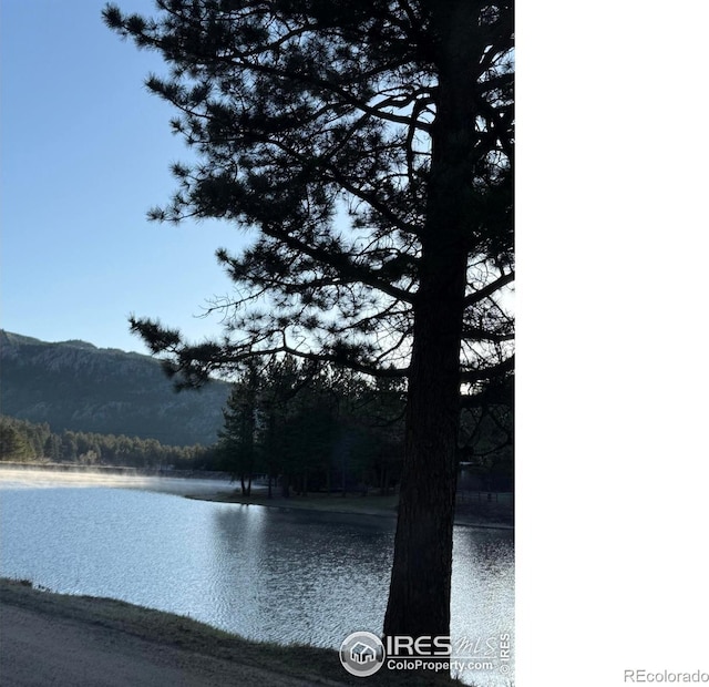 565 Hemlock Dr, Lyons, CO 80540 - water view featuring a view of trees