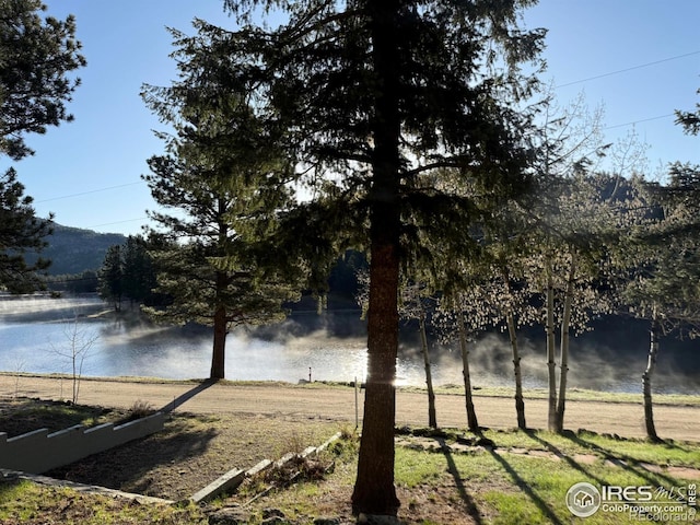565 Hemlock Dr, Lyons, CO 80540 - view of water feature