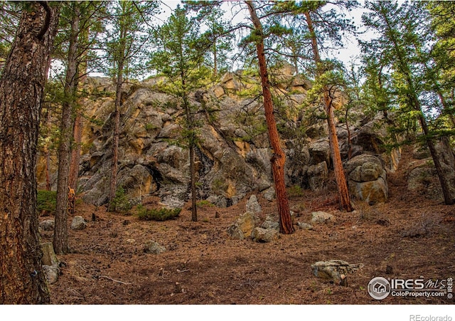 565 Hemlock Dr, Lyons, CO 80540 - view of nature