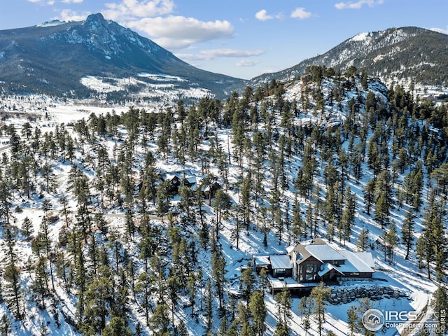 2775 Grey Fox Dr, Estes Park, CO 80517 - photo 6