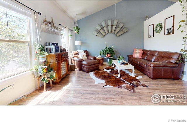 living room featuring wood finished floors and a healthy amount of sunlight